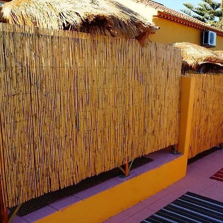 Seventies Cheap And Chic 3*